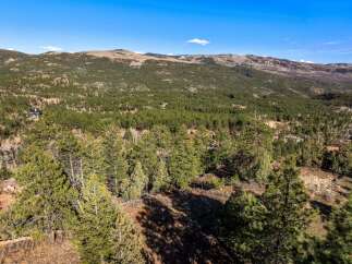 Discover your dream mountain retreat with this stunning aerial view showcasing a sprawling property nestled amongst mature pine trees.