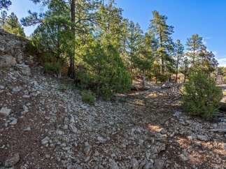 Discover a prime piece of land nestled within a serene forest landscape, perfect for building your dream home or a secluded getaway.