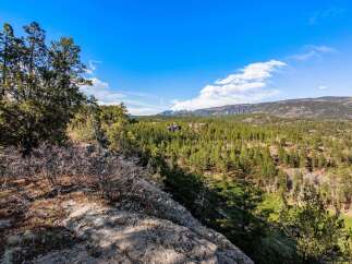 Experience breathtaking mountain views from this stunning property, nestled amidst a lush pine forest.