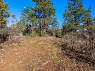 Discover this picturesque wooded lot, perfect for building your dream home amidst nature.