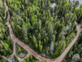 Discover this stunning aerial view of a secluded property nestled within a lush, green forest.
