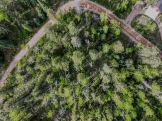 Discover this stunning property nestled within a lush, green forest, offering unparalleled privacy and natural beauty.