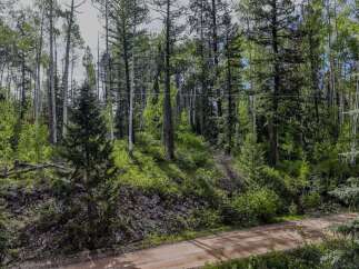 Discover your private mountain retreat nestled amongst towering aspens and evergreens.