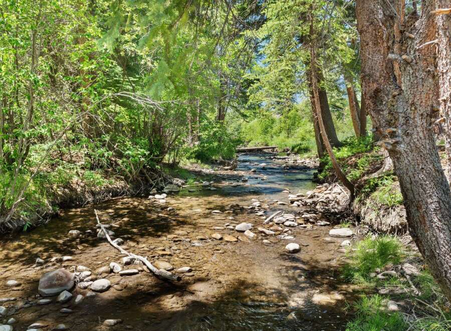 Escape to this serene natural paradise, featuring a crystal-clear stream meandering through lush greenery and mature trees.