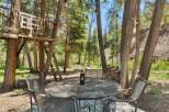 Enjoy the great outdoors with this charming backyard oasis, featuring a rustic treehouse and a cozy swing set perfect for relaxation and play.