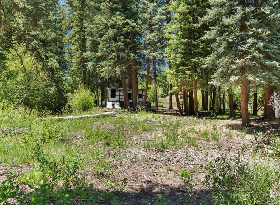 Escape to this serene forest retreat, featuring a cozy trailer nestled amongst towering pine trees.