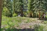 Escape to this serene forest retreat, featuring a cozy trailer nestled amongst towering pine trees.