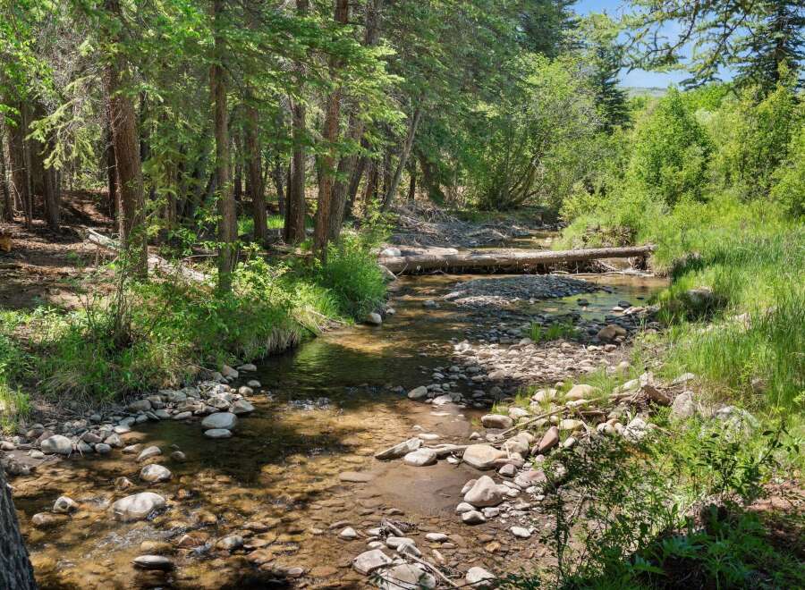 Escape to this serene natural oasis featuring a picturesque creek flowing through a lush forest.