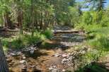 Escape to this serene natural oasis featuring a picturesque creek flowing through a lush forest.