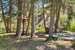 Escape to this enchanting forest retreat featuring a charming treehouse with a ladder for access.