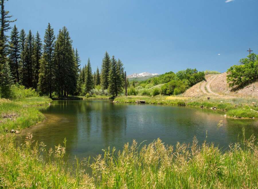 Discover serene living with this picturesque property featuring a tranquil pond, lush green meadows, and towering pine trees.