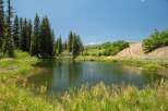Discover serene living with this picturesque property featuring a tranquil pond, lush green meadows, and towering pine trees.