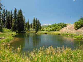 Discover serene living with this picturesque property featuring a tranquil pond, lush green meadows, and towering pine trees.
