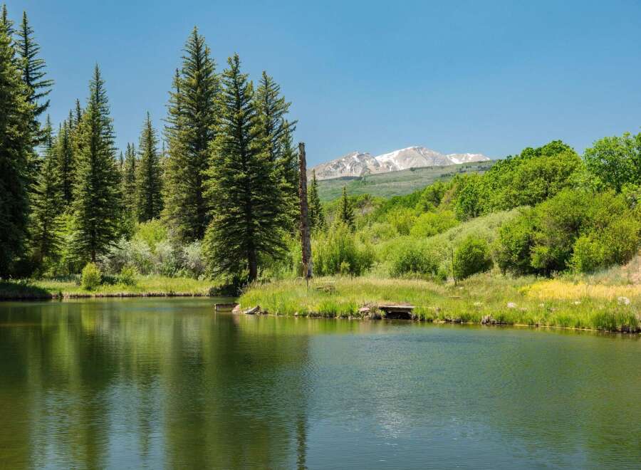 Discover serene living with this stunning property featuring a tranquil lake and lush greenery, perfect for outdoor enthusiasts.