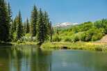 Discover serene living with this stunning property featuring a tranquil lake and lush greenery, perfect for outdoor enthusiasts.