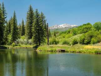 Discover serene living with this stunning property featuring a tranquil lake and lush greenery, perfect for outdoor enthusiasts.