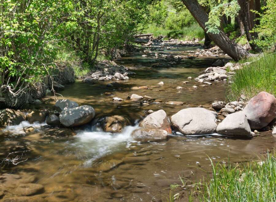 Escape to this serene natural oasis, featuring a picturesque stream flowing through lush greenery and mature trees.