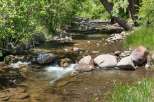 Escape to this serene natural oasis, featuring a picturesque stream flowing through lush greenery and mature trees.