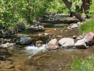 Escape to this serene natural oasis, featuring a picturesque stream flowing through lush greenery and mature trees.