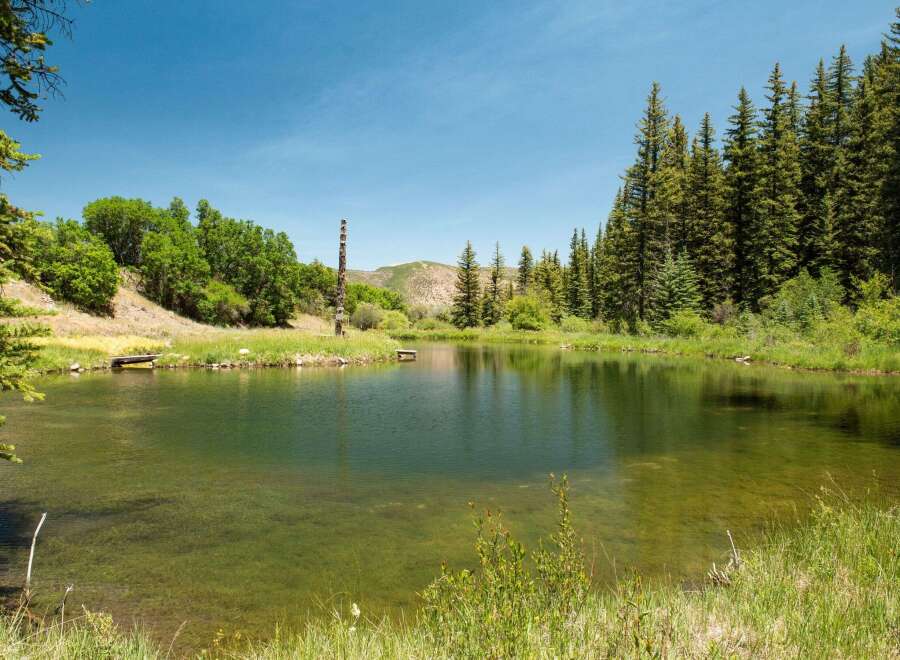 Discover a serene oasis with this stunning property featuring a crystal-clear pond, perfect for tranquil reflection or outdoor recreation.