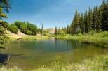 Discover a serene oasis with this stunning property featuring a crystal-clear pond, perfect for tranquil reflection or outdoor recreation.