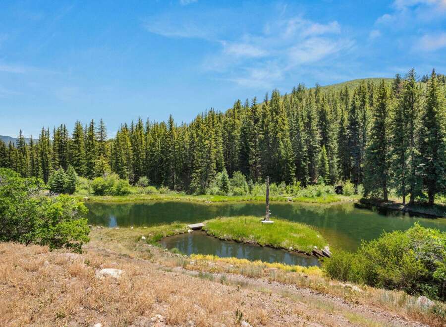 Discover your private oasis with this stunning mountain lakefront property, surrounded by a dense forest of mature evergreen trees.