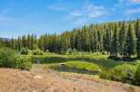 Discover your private oasis with this stunning mountain lakefront property, surrounded by a dense forest of mature evergreen trees.