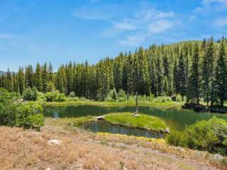 Discover your private oasis with this stunning mountain lakefront property, surrounded by a dense forest of mature evergreen trees.
