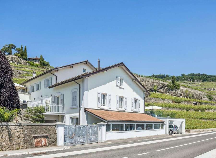 Discover this stunning property nestled against a picturesque hillside vineyard, offering breathtaking views and a serene atmosphere.