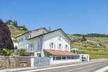 Discover this stunning property nestled against a picturesque hillside vineyard, offering breathtaking views and a serene atmosphere.