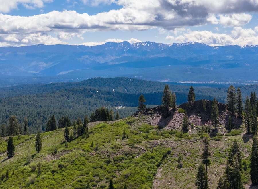 Discover breathtaking panoramic views from this elevated property, showcasing rolling green hills dotted with mature pine trees.