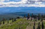 Discover breathtaking panoramic views from this elevated property, showcasing rolling green hills dotted with mature pine trees.