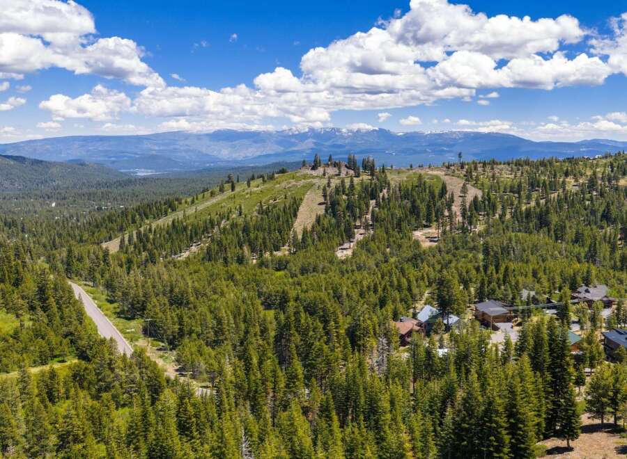 Discover breathtaking mountain views and serene forest living in this stunning property.
