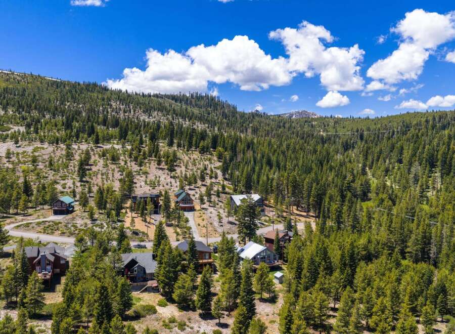 Nestled amidst a lush pine forest, this aerial view showcases a collection of charming mountain homes.