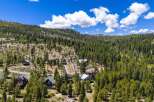 Nestled amidst a lush pine forest, this aerial view showcases a collection of charming mountain homes.