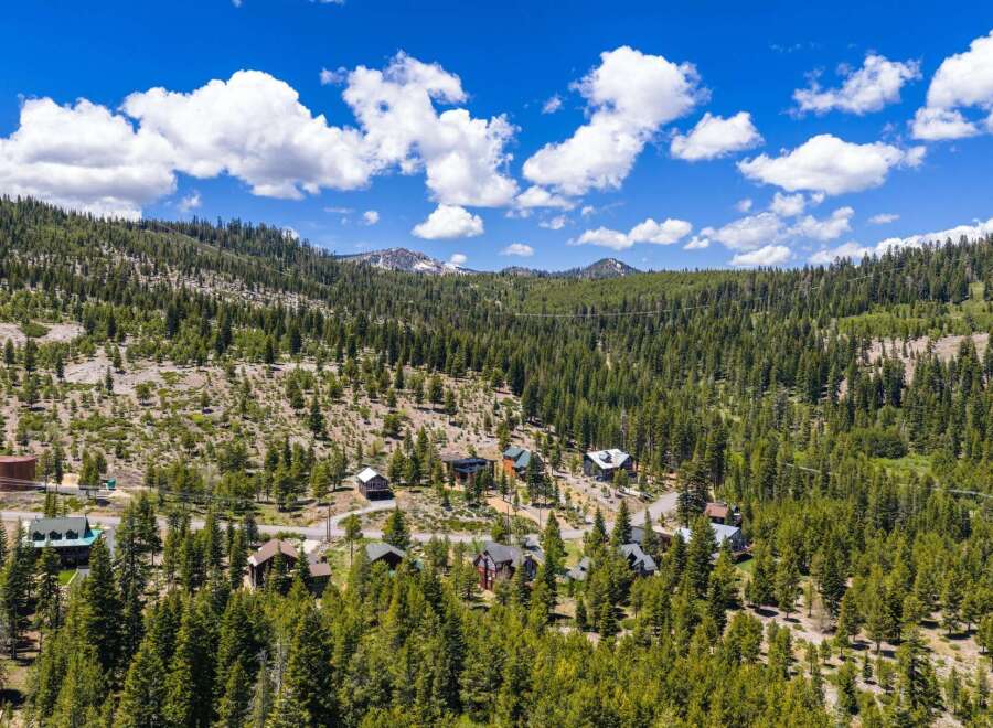 Nestled amidst a dense forest of pine trees, this property offers a serene mountain retreat.
