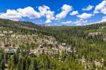 Nestled amidst a dense forest of pine trees, this property offers a serene mountain retreat.