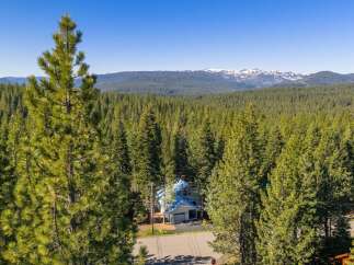 Nestled amidst a dense forest of towering pine trees, this charming home offers a serene mountain retreat.