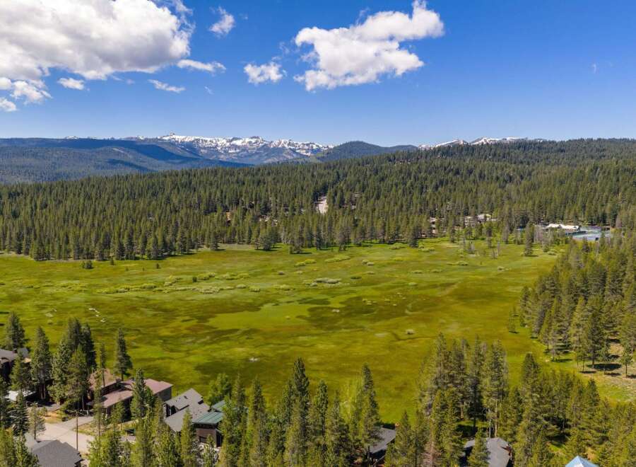 Discover this stunning property nestled amidst a vast evergreen forest, offering breathtaking views of snow-capped mountains in the distance.