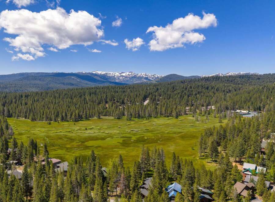 Discover a stunning mountain retreat nestled amidst a lush pine forest, offering breathtaking views of snow-capped peaks.