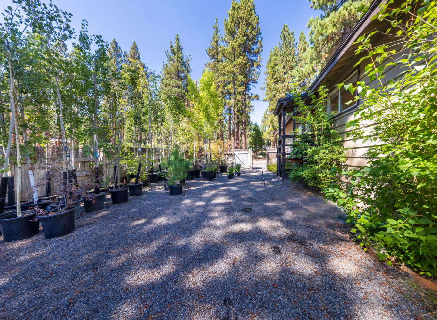 Discover a charming property with a gravel driveway leading to a quaint home, surrounded by a lush nursery of trees and plants.