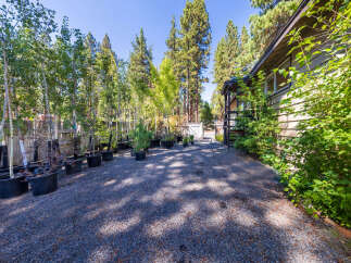 Discover a charming property with a gravel driveway leading to a quaint home, surrounded by a lush nursery of trees and plants.