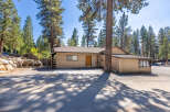 Nestled amongst tall pine trees, this charming single-story home offers a serene retreat.