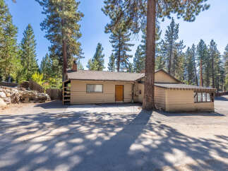 Nestled amongst tall pine trees, this charming single-story home offers a serene retreat.