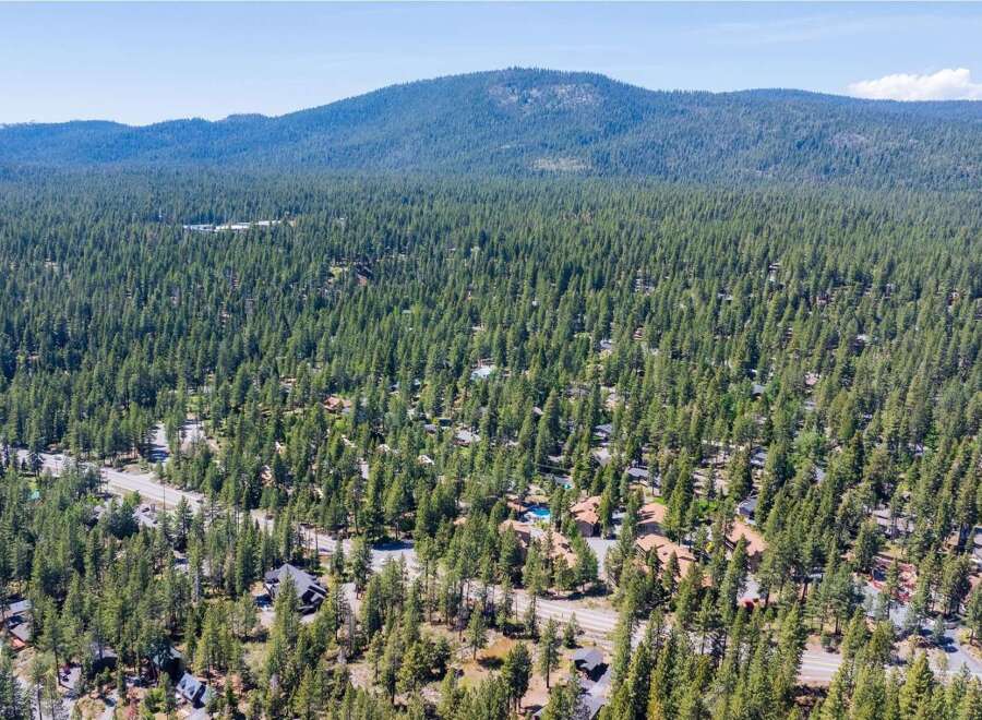 Nestled amidst a dense forest of pine trees, this aerial view showcases a charming neighborhood with scattered homes and winding roads.