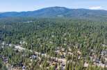 Nestled amidst a dense forest of pine trees, this aerial view showcases a charming neighborhood with scattered homes and winding roads.