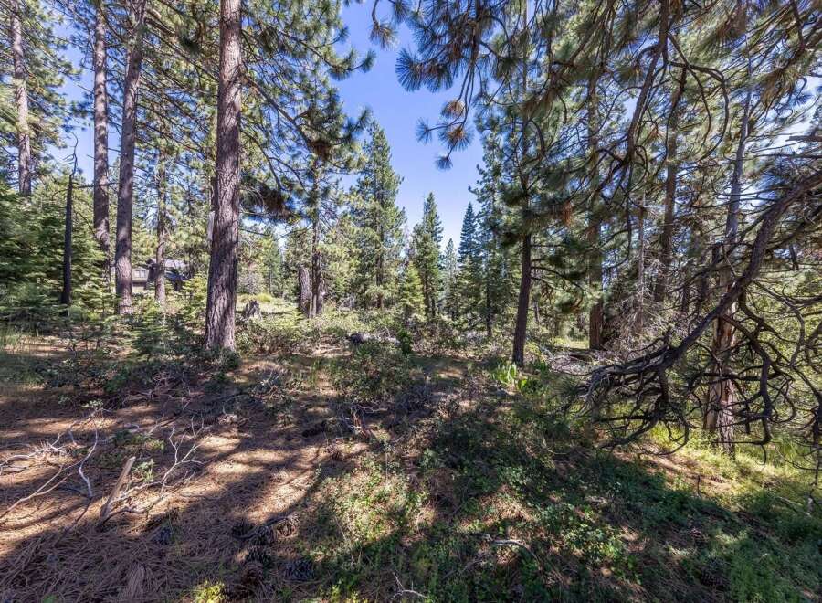 Nestled within a serene pine forest, this property offers a tranquil escape surrounded by mature trees and natural beauty.