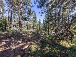 Nestled within a serene pine forest, this property offers a tranquil escape surrounded by mature trees and natural beauty.
