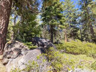 Discover the natural beauty surrounding this property, featuring a serene forest landscape with mature pine trees and large granite boulders.
