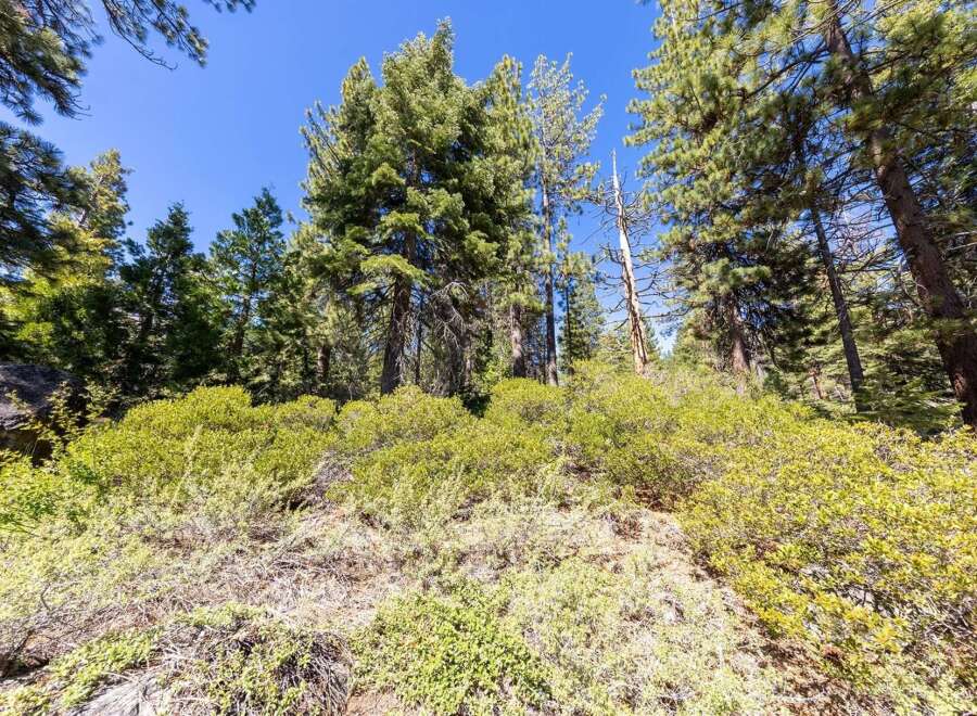 Discover the natural beauty of this property, surrounded by lush green trees and vibrant foliage.